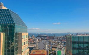 Hawthorne roof view
