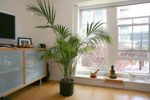 88 Townsend #109 for Sale
