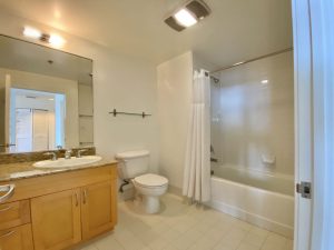 250 king 1204 bath
