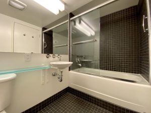 Ybl 310 bath