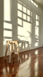 855 Folsom 308 art