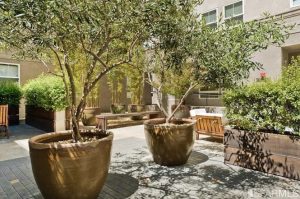 821 folsom 303 garden