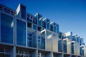 Folsom yerba